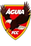 Águia De Cumaru