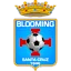 Blwmyngh Santa Krws logo