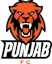 Bwnjab logo