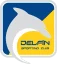 Dylfyn logo