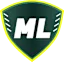 Ef Sy Em El Fytybsk logo