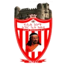 Fasil Ketema logo