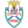 Fyrnsy logo