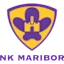 Marybwr logo