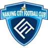 Nanjing City logo