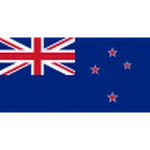 Nywzylnda logo