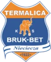 Nyysyza logo