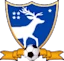 Swtshytybykyz logo
