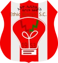 Ethio Electric logo